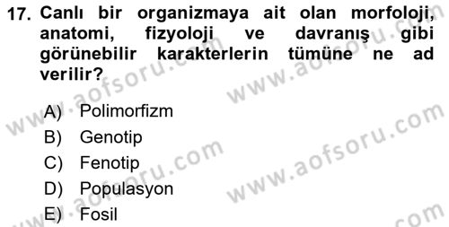 Genel Biyoloji Dersi Ara Sınavı Deneme Sınav Soruları 17. Soru