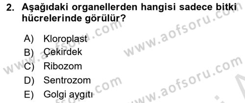 Genel Biyoloji Dersi Ara Sınavı Deneme Sınav Soruları 2. Soru