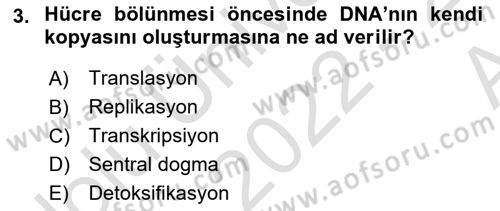 Genel Biyoloji Dersi Ara Sınavı Deneme Sınav Soruları 3. Soru