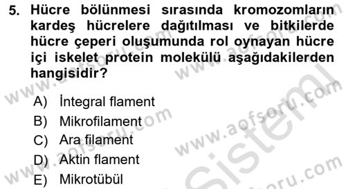 Genel Biyoloji Dersi Ara Sınavı Deneme Sınav Soruları 5. Soru