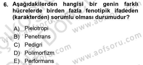 Genel Biyoloji Dersi Ara Sınavı Deneme Sınav Soruları 6. Soru
