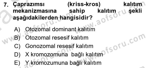 Genel Biyoloji Dersi Ara Sınavı Deneme Sınav Soruları 7. Soru