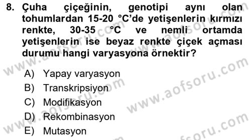 Genel Biyoloji Dersi Ara Sınavı Deneme Sınav Soruları 8. Soru