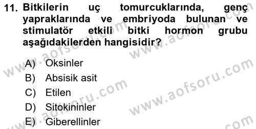 Genel Biyoloji Dersi 2022 - 2023 Yılı (Final) Dönem Sonu Sınav Soruları 11. Soru