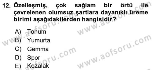 Genel Biyoloji Dersi 2022 - 2023 Yılı (Final) Dönem Sonu Sınav Soruları 12. Soru