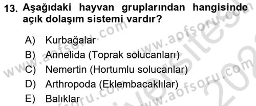 Genel Biyoloji Dersi 2022 - 2023 Yılı (Final) Dönem Sonu Sınav Soruları 13. Soru
