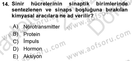 Genel Biyoloji Dersi 2022 - 2023 Yılı (Final) Dönem Sonu Sınav Soruları 14. Soru