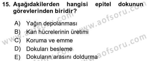 Genel Biyoloji Dersi 2022 - 2023 Yılı (Final) Dönem Sonu Sınavı 15. Soru