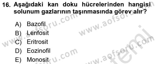 Genel Biyoloji Dersi 2022 - 2023 Yılı (Final) Dönem Sonu Sınav Soruları 16. Soru