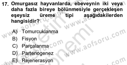 Genel Biyoloji Dersi 2022 - 2023 Yılı (Final) Dönem Sonu Sınav Soruları 17. Soru