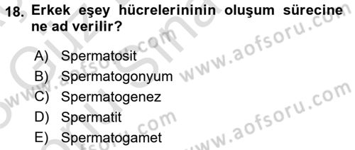 Genel Biyoloji Dersi 2022 - 2023 Yılı (Final) Dönem Sonu Sınav Soruları 18. Soru