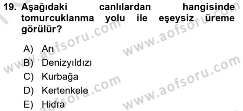 Genel Biyoloji Dersi 2022 - 2023 Yılı (Final) Dönem Sonu Sınav Soruları 19. Soru