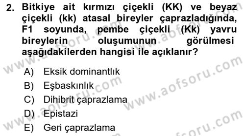 Genel Biyoloji Dersi 2022 - 2023 Yılı (Final) Dönem Sonu Sınav Soruları 2. Soru