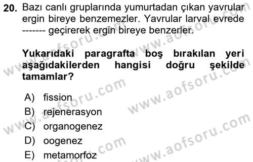 Genel Biyoloji Dersi 2022 - 2023 Yılı (Final) Dönem Sonu Sınav Soruları 20. Soru