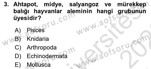Genel Biyoloji Dersi 2022 - 2023 Yılı (Final) Dönem Sonu Sınav Soruları 3. Soru