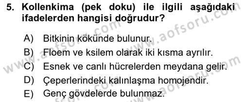 Genel Biyoloji Dersi 2022 - 2023 Yılı (Final) Dönem Sonu Sınav Soruları 5. Soru