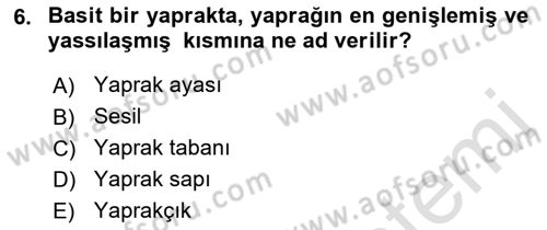 Genel Biyoloji Dersi 2022 - 2023 Yılı (Final) Dönem Sonu Sınav Soruları 6. Soru