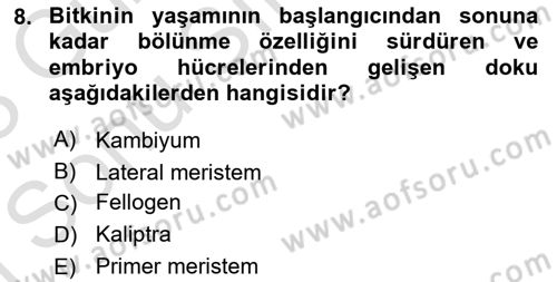 Genel Biyoloji Dersi 2022 - 2023 Yılı (Final) Dönem Sonu Sınavı 8. Soru