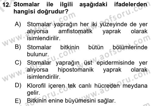 Genel Biyoloji Dersi 2022 - 2023 Yılı Yaz Okulu Sınav Soruları 12. Soru