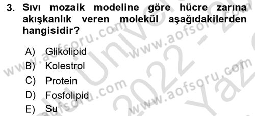 Genel Biyoloji Dersi 2022 - 2023 Yılı Yaz Okulu Sınav Soruları 3. Soru