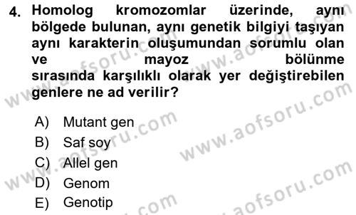 Genel Biyoloji Dersi 2022 - 2023 Yılı Yaz Okulu Sınav Soruları 4. Soru