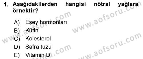 Genel Biyoloji Dersi Ara Sınavı Deneme Sınav Soruları 1. Soru