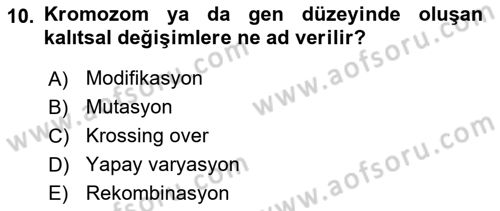 Genel Biyoloji Dersi Ara Sınavı Deneme Sınav Soruları 10. Soru