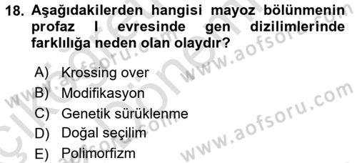 Genel Biyoloji Dersi Ara Sınavı Deneme Sınav Soruları 18. Soru