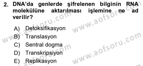 Genel Biyoloji Dersi Ara Sınavı Deneme Sınav Soruları 2. Soru