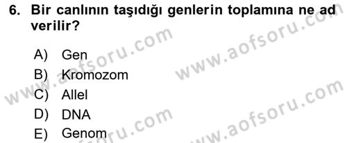 Genel Biyoloji Dersi Ara Sınavı Deneme Sınav Soruları 6. Soru