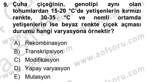 Genel Biyoloji Dersi Ara Sınavı Deneme Sınav Soruları 9. Soru