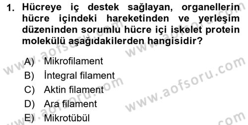 Genel Biyoloji Dersi 2023 - 2024 Yılı (Final) Dönem Sonu Sınav Soruları 1. Soru