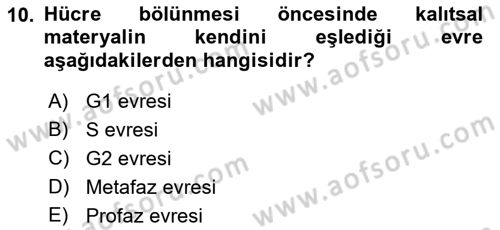Genel Biyoloji Dersi 2023 - 2024 Yılı (Final) Dönem Sonu Sınav Soruları 10. Soru