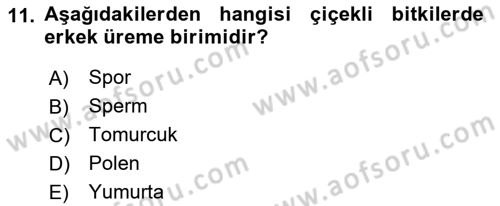 Genel Biyoloji Dersi 2023 - 2024 Yılı (Final) Dönem Sonu Sınav Soruları 11. Soru