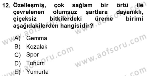 Genel Biyoloji Dersi 2023 - 2024 Yılı (Final) Dönem Sonu Sınav Soruları 12. Soru