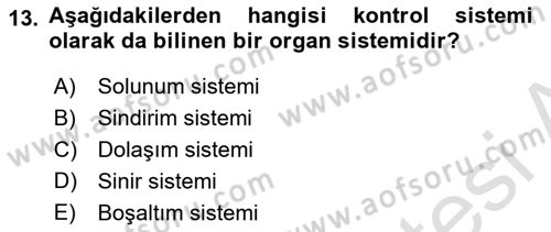 Genel Biyoloji Dersi 2023 - 2024 Yılı (Final) Dönem Sonu Sınav Soruları 13. Soru