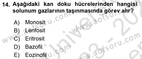 Genel Biyoloji Dersi 2023 - 2024 Yılı (Final) Dönem Sonu Sınavı 14. Soru