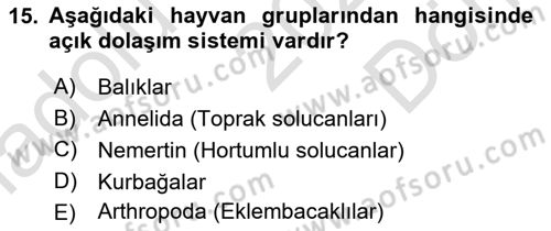 Genel Biyoloji Dersi 2023 - 2024 Yılı (Final) Dönem Sonu Sınav Soruları 15. Soru
