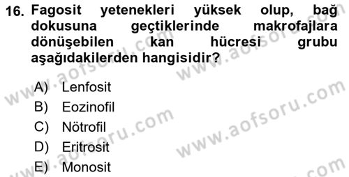 Genel Biyoloji Dersi 2023 - 2024 Yılı (Final) Dönem Sonu Sınav Soruları 16. Soru