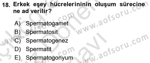 Genel Biyoloji Dersi 2023 - 2024 Yılı (Final) Dönem Sonu Sınav Soruları 18. Soru