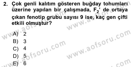 Genel Biyoloji Dersi 2023 - 2024 Yılı (Final) Dönem Sonu Sınav Soruları 2. Soru