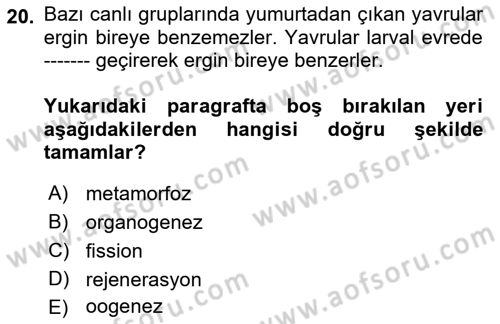 Genel Biyoloji Dersi 2023 - 2024 Yılı (Final) Dönem Sonu Sınav Soruları 20. Soru