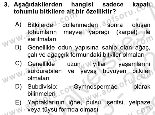 Genel Biyoloji Dersi 2023 - 2024 Yılı (Final) Dönem Sonu Sınav Soruları 3. Soru