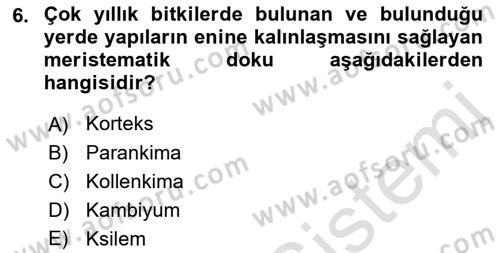 Genel Biyoloji Dersi 2023 - 2024 Yılı (Final) Dönem Sonu Sınav Soruları 6. Soru