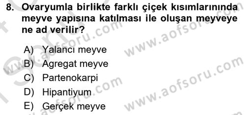 Genel Biyoloji Dersi 2023 - 2024 Yılı (Final) Dönem Sonu Sınav Soruları 8. Soru