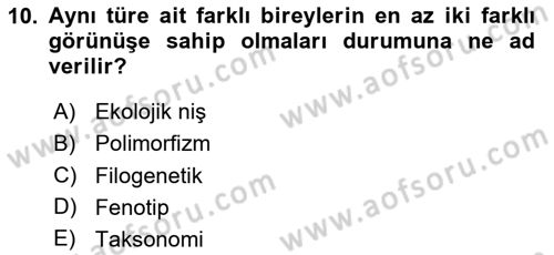 Genel Biyoloji Dersi 2023 - 2024 Yılı Yaz Okulu Sınav Soruları 10. Soru