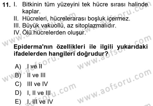 Genel Biyoloji Dersi 2023 - 2024 Yılı Yaz Okulu Sınav Soruları 11. Soru