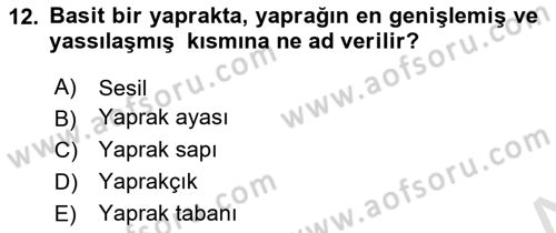 Genel Biyoloji Dersi 2023 - 2024 Yılı Yaz Okulu Sınav Soruları 12. Soru