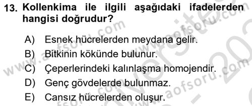 Genel Biyoloji Dersi 2023 - 2024 Yılı Yaz Okulu Sınav Soruları 13. Soru