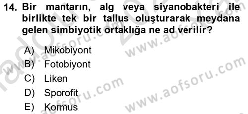 Genel Biyoloji Dersi 2023 - 2024 Yılı Yaz Okulu Sınav Soruları 14. Soru